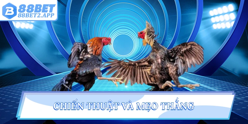 Chiến thuật và mẹo thắng