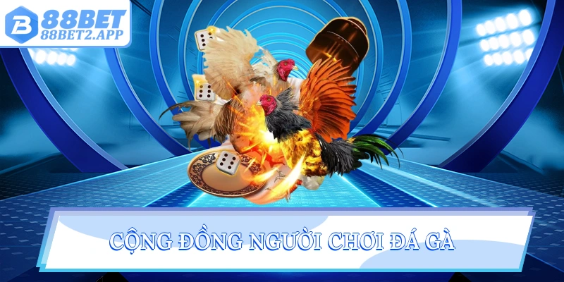 Cộng đồng người chơi đá gà