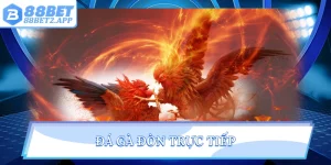 Đá gà đòn trực tiếp