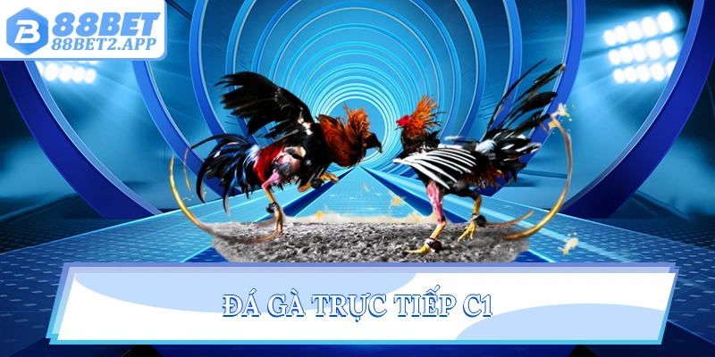 Đá gà trực tiếp C1