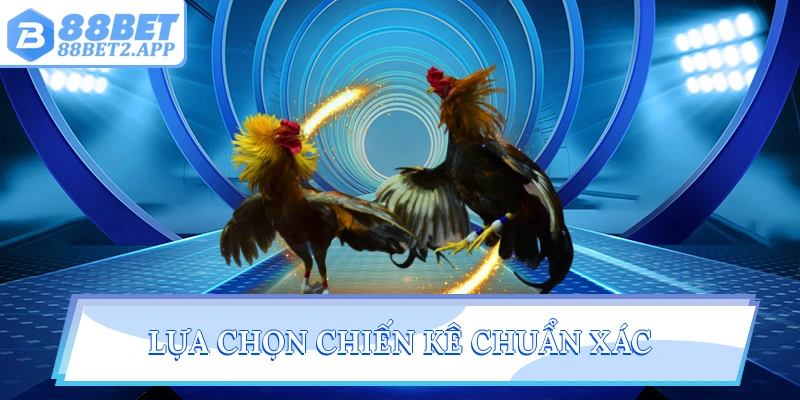 Lựa chọn chiến kê chuẩn xác