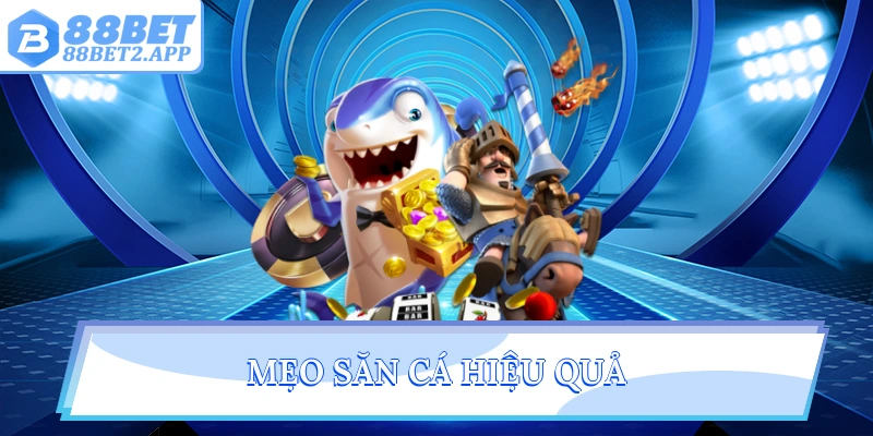 Mẹo săn cá hiệu quả