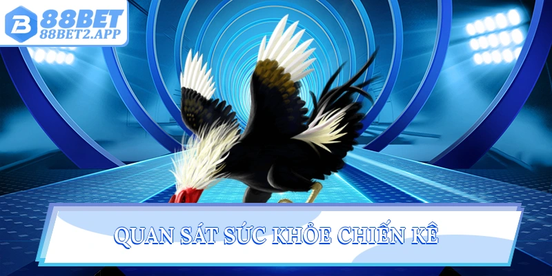 Quan sát sức khỏe chiến kê