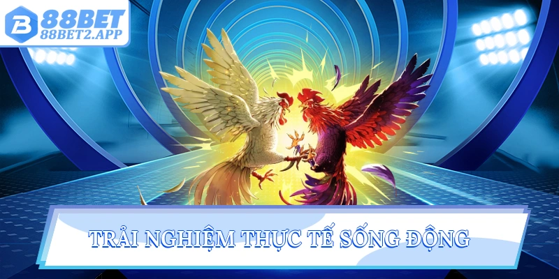 Trải nghiệm thực tế sống động